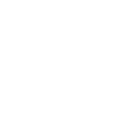 Polisa Plus